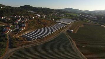 Aerial View of Greenhouses and Agricultural Fields video