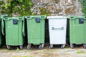 four plastic garbage containers lined up in a row photo