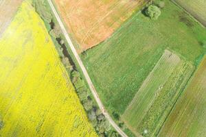 a road between plowed agricultural fields and other cultivated fields of wheat and rapeseed, aerial view shot with drone photo