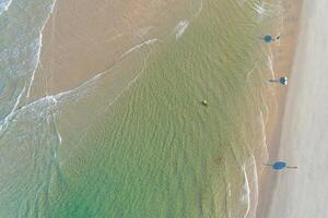 zenithal aerial view with drone of four surfers with their surfboards on the shore of a beach photo