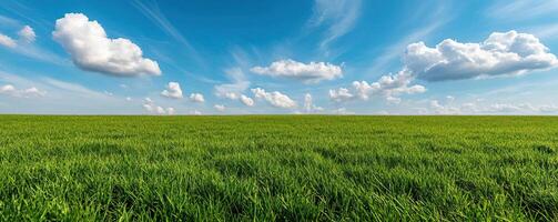 Vivid landscape of a sprawling meadow field under a changing sky, illustrating the dynamic shifts in weather patterns photo