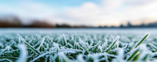 Peaceful meadow scene capturing the early signs of seasonal transition, with frost beginning to settle on the once green grass photo