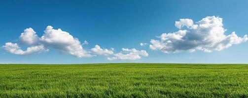 Vivid landscape of a sprawling meadow field under a changing sky, illustrating the dynamic shifts in weather patterns photo