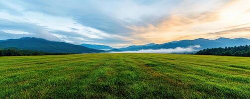 Dramatic landscape showing a meadow field with encroaching fog and changing light, symbolizing the uncertainty of natural environments photo