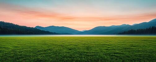 Dramatic landscape showing a meadow field with encroaching fog and changing light, symbolizing the uncertainty of natural environments photo