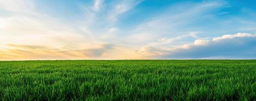 Vivid landscape of a sprawling meadow field under a changing sky, illustrating the dynamic shifts in weather patterns photo