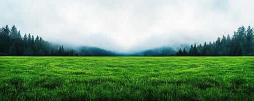 Dramatic landscape showing a meadow field with encroaching fog and changing light, symbolizing the uncertainty of natural environments photo
