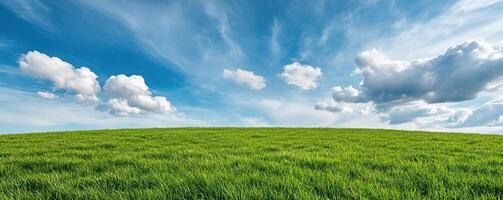 Vivid landscape of a sprawling meadow field under a changing sky, illustrating the dynamic shifts in weather patterns photo
