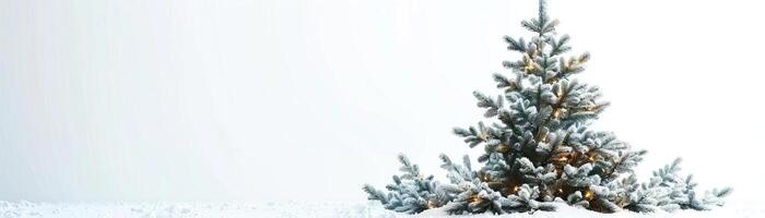 A high-key image of a tall Christmas tree, the garland lights intermingled with fine snow, set against a stark white background, broad space on the left for promotional text. photo