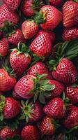A close-up view of freshly picked ripe strawberries with vibrant red color and green leaves, showcasing their natural freshness and juicy texture. photo