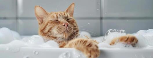 Cat enjoying a bubble bath, playful and relaxed, pet grooming, editorial photography, empty copy space for text photo