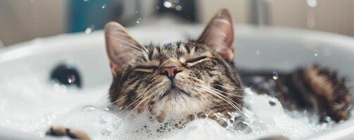Cat enjoying a bubble bath, playful and relaxed, pet grooming, editorial photography, empty copy space for text photo