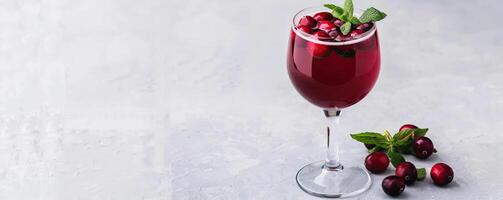 A sophisticated Cranberry Sangria in a sleek photo