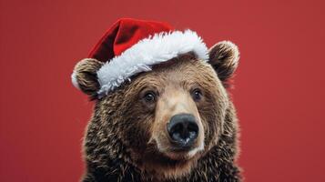 happy cheerful bear wearing santa clause hat set against red background photo