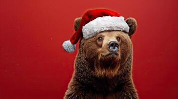 happy cheerful bear wearing santa clause hat set against red background photo