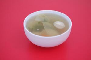 A bowl of soup on a red table photo