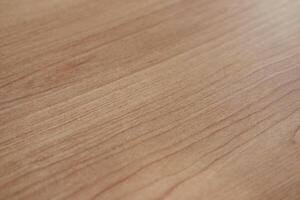 Wood texture background. Floor surface photo