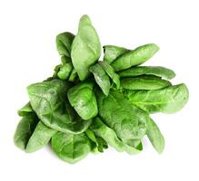 Fresh spinach with water drops photo