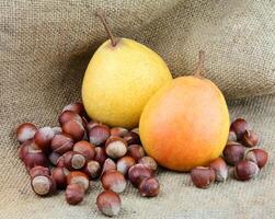 pear with filbert photo