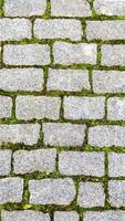 Texture of green grass sprouted between bricks of cobblestone path, top view. Concept of harmonious fusion of city and nature photo