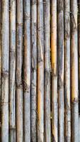 Background texture of dry bamboo cane. Flat lay, vertical frame, close-up photo