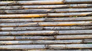 Background texture of dry bamboo cane, flat lay, vertical frame, close-up photo
