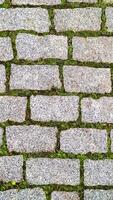 Green grass sprouted between bricks of cobblestone path, top view. Concept of harmonious fusion of city and nature photo