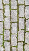 Green grass sprouted between bricks of cobblestone path, concept of harmonious fusion of city and nature, vertical frame photo