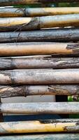 Background texture of dry reed cane. Flat lay, vertical frame, close-up photo