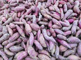 A pile of purple sweet potatoes in a tray. photo