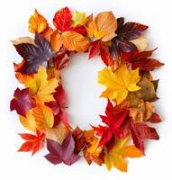 Autumn Wreath Made of Colorful Maple Leaves on a White Background photo