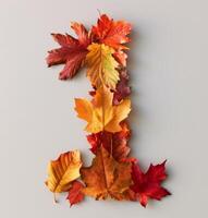 Autumn Leaves Arranged in the Shape of the Number One Against a White Background photo