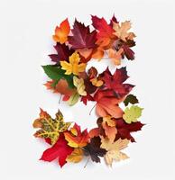 Five Shaped Arrangement of Colorful Autumn Leaves on White Background photo