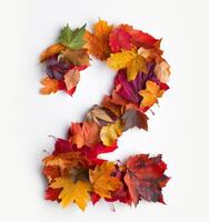 Colorful Autumn Leaves Arranged in the Shape of the Number Two photo