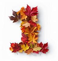 Autumn Leaves Arranged in the Shape of the Number One Against a White Background photo