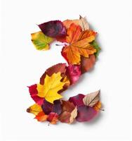 Colorful Autumn Leaves Arranged in the Shape of the Number Two photo