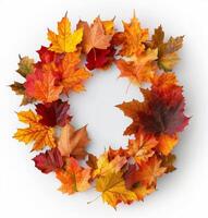 Autumn Wreath Made of Colorful Maple Leaves on a White Background photo