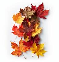 Autumn Leaves Arranged in the Shape of the Number One Against a White Background photo