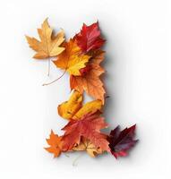 Autumn Leaves Arranged in the Shape of the Number One Against a White Background photo