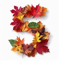 Five Shaped Arrangement of Colorful Autumn Leaves on White Background photo