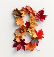 Colorful Autumn Leaves Formed Into the Number Eight on White Background photo