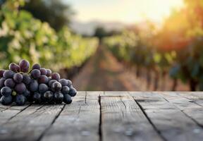 Glass of Red Wine Next to Grapes on Wooden Table at Sunset in Vineyard photo