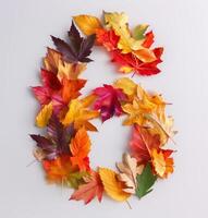 Colorful Autumn Leaves Forming Number Six on White Background photo