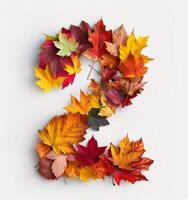 Colorful Autumn Leaves Arranged in the Shape of the Number Two photo