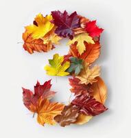Colorful Autumn Leaves Arranged in a Number Three Shape on a White Background photo