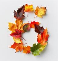 Colorful Autumn Leaves Forming Number Six on White Background photo