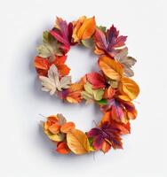 Autumn Leaves Arranged in a Number Nine on White Background photo