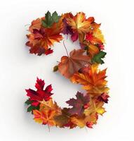 Colorful Autumn Leaves Arranged in a Number Three Shape on a White Background photo