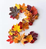 Colorful Autumn Leaves Arranged in the Shape of the Number Two photo