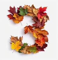 Colorful Autumn Leaves Arranged in a Number Three Shape on a White Background photo